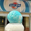 ブルーシール 国際通り店