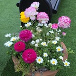 河西いちご園 農園カフェ - 