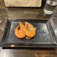 アカミヤコウシ - 
