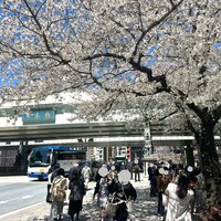 日本橋いづもや - 