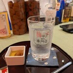 梅干しサワー専門店 - 