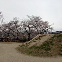 先斗町しゃぶしゃぶすき焼き きらく - 