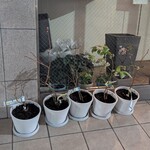 おかしやうっちー - 