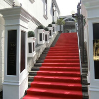 ツキ シュール ラメール - 