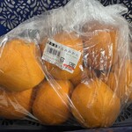 須崎食料品店 - 店頭に販売されていたはるみみかん^_^