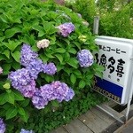 久魯多喜 - アジサイが綺麗でした