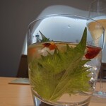 鮨 さいとう はなれ NANZUKA - 