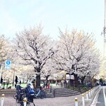 やぶ善 - お店の左前にある路地を入ってすぐ左側にある、"さくら公園"。