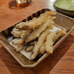 オテルドゥオガワ - 