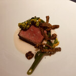 セルサルサーレ - 