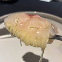 セルサルサーレ - 