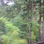 箱根小涌谷温泉 水の音 - 