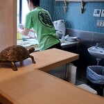 手打麺祭 かめ囲 - 