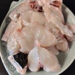 ふく処 さかい - 朝採れのフグ切身