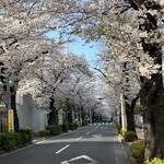 パピー - 季節ならではのおまけショット