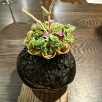 SHOKUDO YArn - これが食べ物