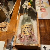 九つ井 本店 -  九つ井 本店 -