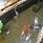 箱根小涌谷温泉 水の音 - 