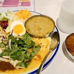 カリ～ アンド スパイスバル カリ～ビト - 