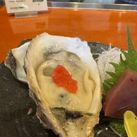 魚竹 - 