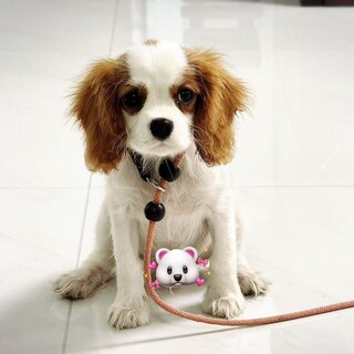 ペットフレンドリー、室内喫煙室完備