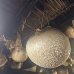民芸茶屋 佐留丹 - 