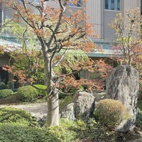 日本料理 木の花 - 