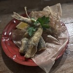 ラディアンツァ - 