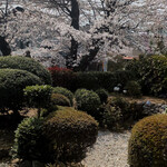 宝蔵院 寺そば - 