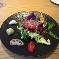 MOTORA  - 