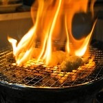 天狗 - 2014.7 脂が多いのですぐ引火します（氷で消火しましょう）