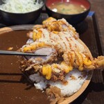 とりや なんじゃこりゃ - 