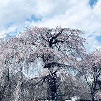 いそべ 本店 - 