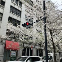 日本橋紫苑 - 