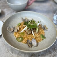 ジャヌ メルカート - 