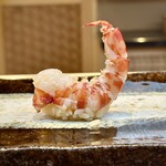 THE SUSHI TOKYO 旬 - 車海老