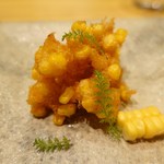 エッサンシエル - 