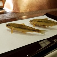 京都祇園 天ぷら八坂圓堂 - 