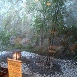 箱根小涌谷温泉 水の音 - 