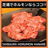 SHIBAURA HORUMON HANARE