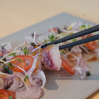 地魚のカルパッチョ  自家製ガルムとレモンのドレッシング