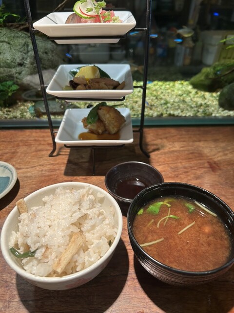 Shunsai Shubo Warabi photo 5