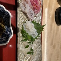 対馬のどぐろとイカ活き造り 博多 魚蔵 都ホテル店 - 