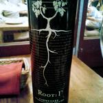 ルートワン カルメネール/チリ