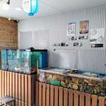 はまさき村 - 店内（水槽）