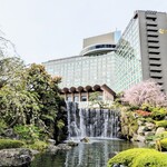 パティスリー SATSUKI - 庭園