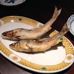 はし本 - 仁淀川の天然鮎塩焼き