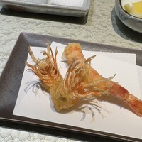 天冨良 よこ田 - 