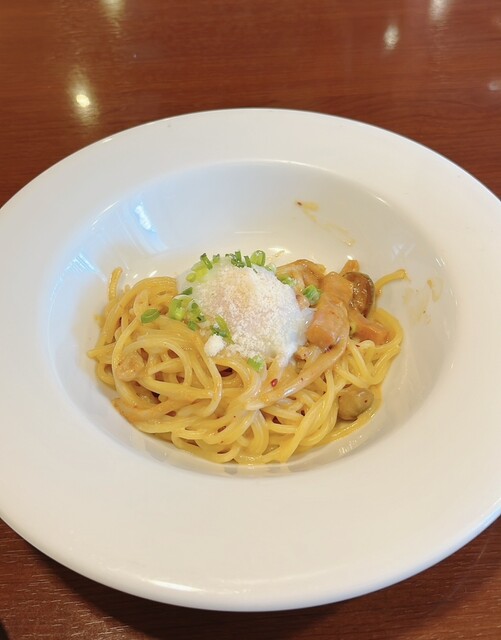 Tartaruga Kitaokazaki Ten photo 3