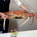 ウシマル - 高足がにʚ･֊･ɞ⸒⸒